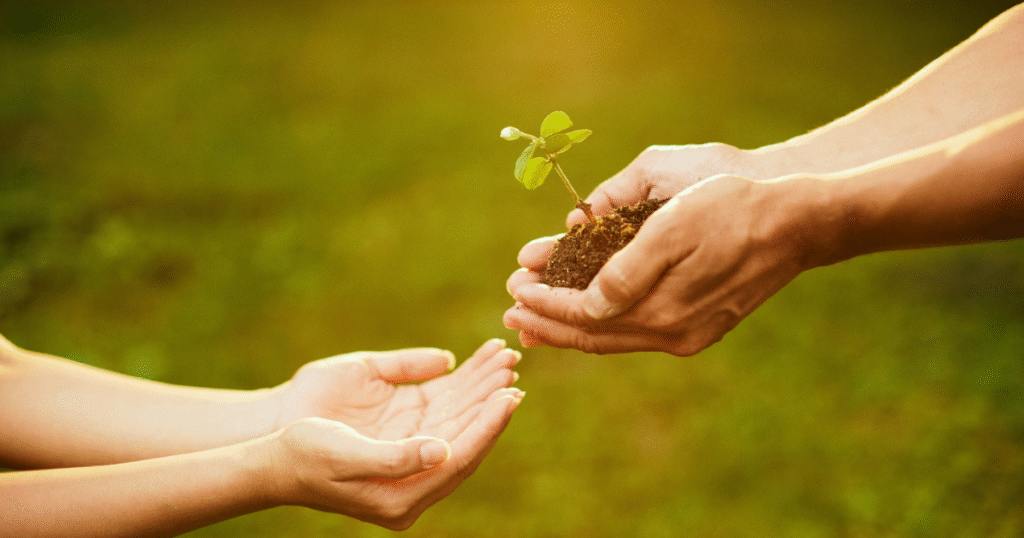 双葉を大切に渡す