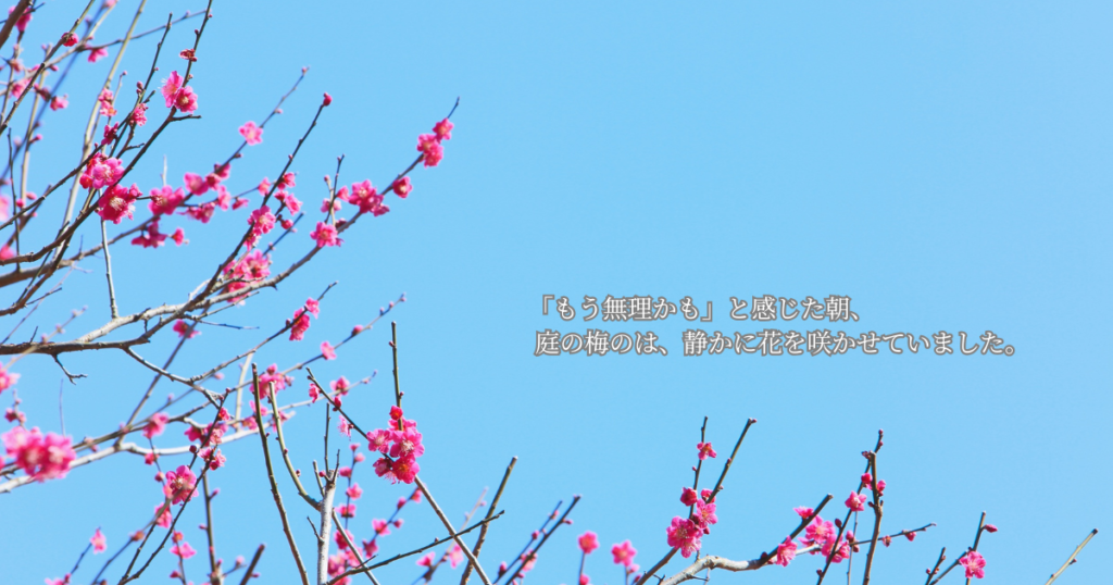 婚活が止まっているように感じた時、庭の梅が教えてくれたこと