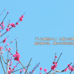 婚活でもう無理かもと感じた時に重なった、庭の梅の花