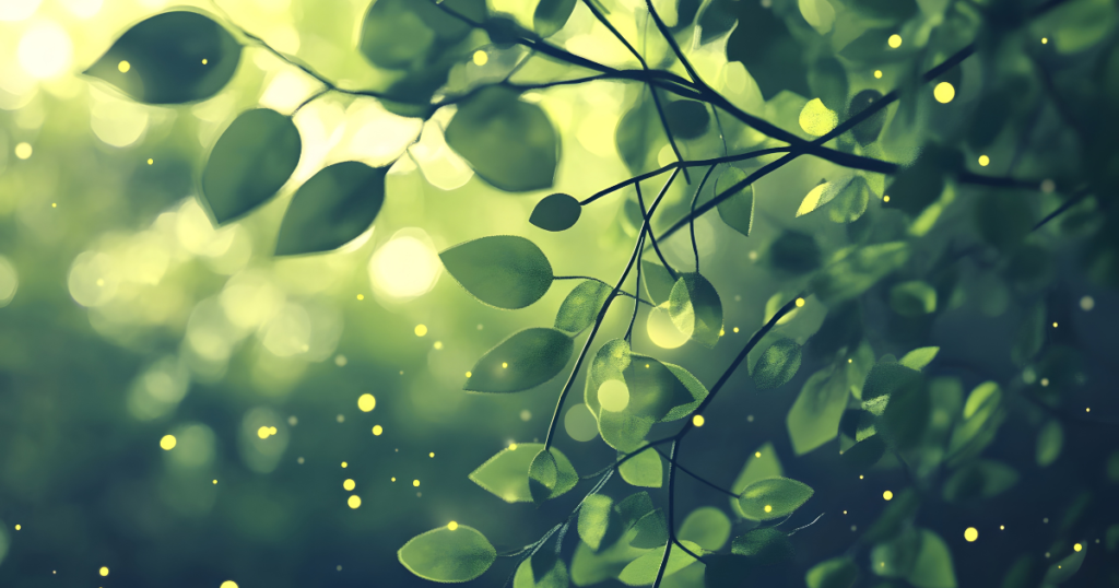 木立の中から光が漏れている。光は出会い